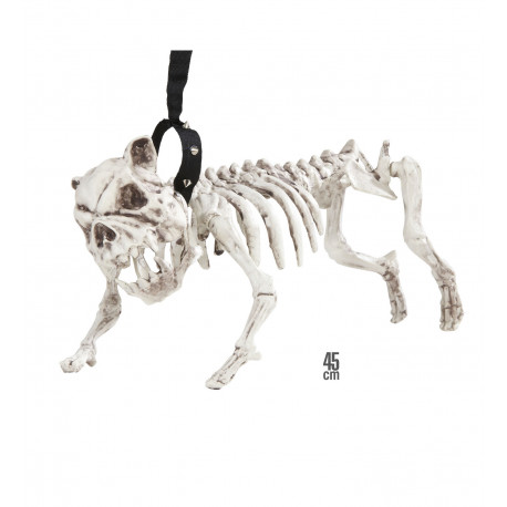 Perro esqueleto con correa