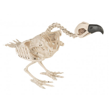 Esqueleto de Buitre para Decoración de Halloween