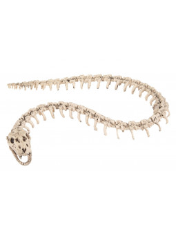 Esqueleto de Serpiente para Decoración de Halloween