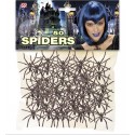 Cincuenta arañas - Spiders -