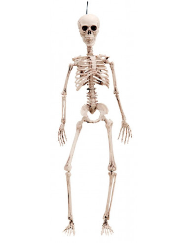 Esqueleto de Decoración de Halloween