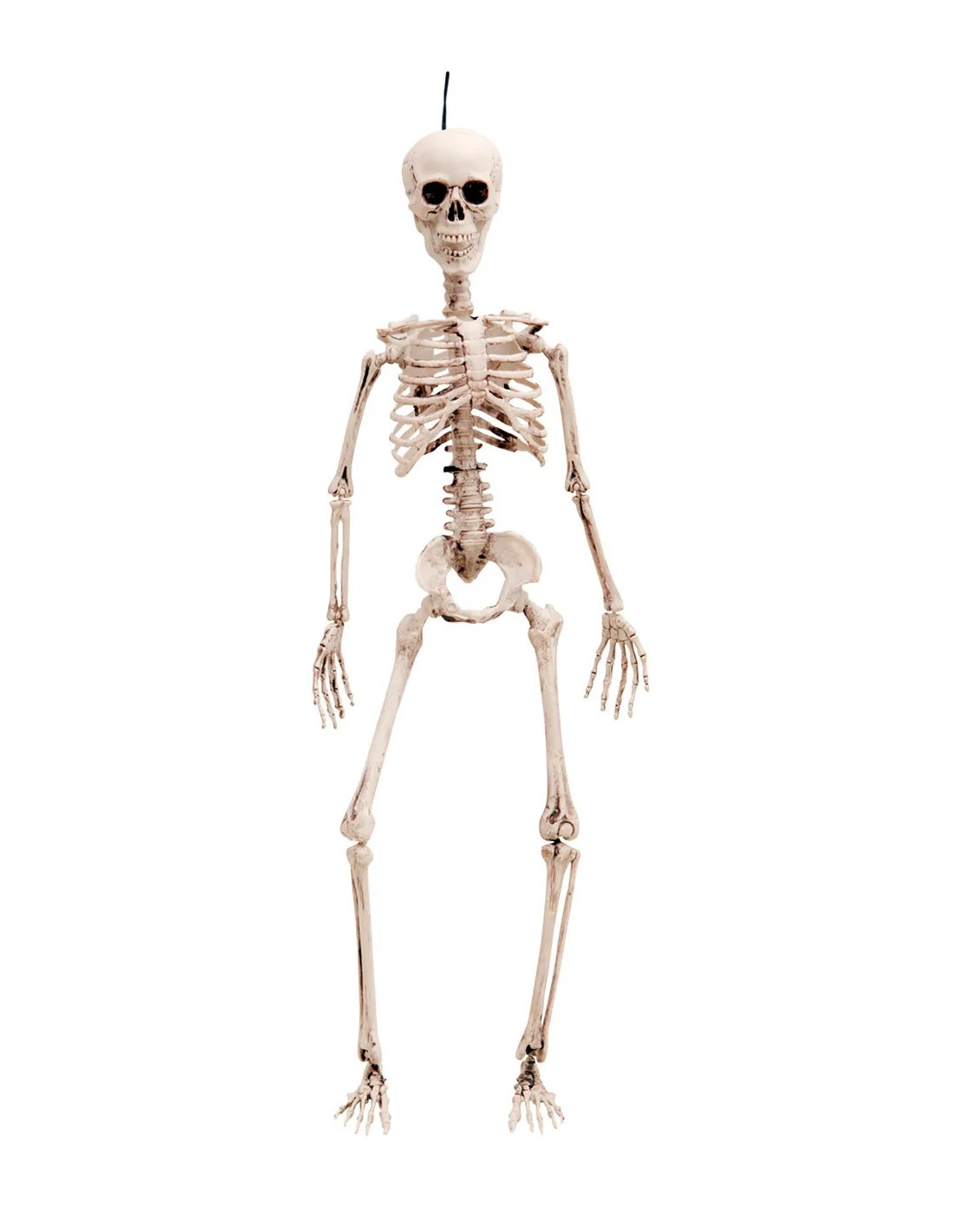 amplificación importar impermeable Esqueleto de Decoración de Halloween de 49cm | Comprar Online