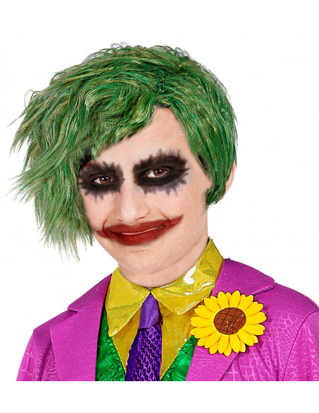 varonil Gimnasio desarrollando Peluca de Joker Verde Infantil | Comprar Online