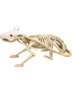 Esqueleto de Rata de 40cm