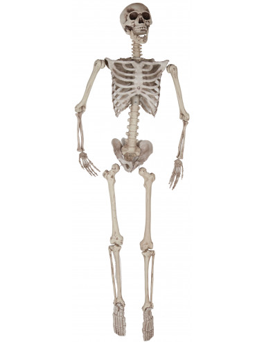Esqueleto de Decoración 165cm