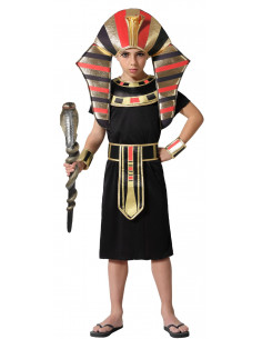 Disfraz de Faraón Egipcio...