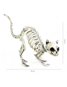 Esqueleto de Gato para...