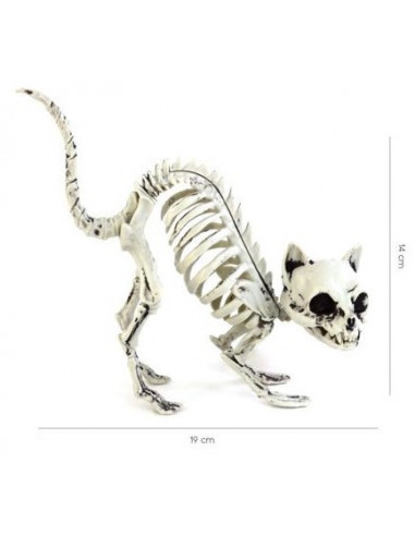 Esqueleto de Gato para Decoración de...