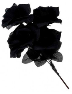 Ramo de Flores Negras