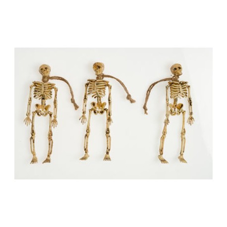 Esqueletos en tamaño pequeño