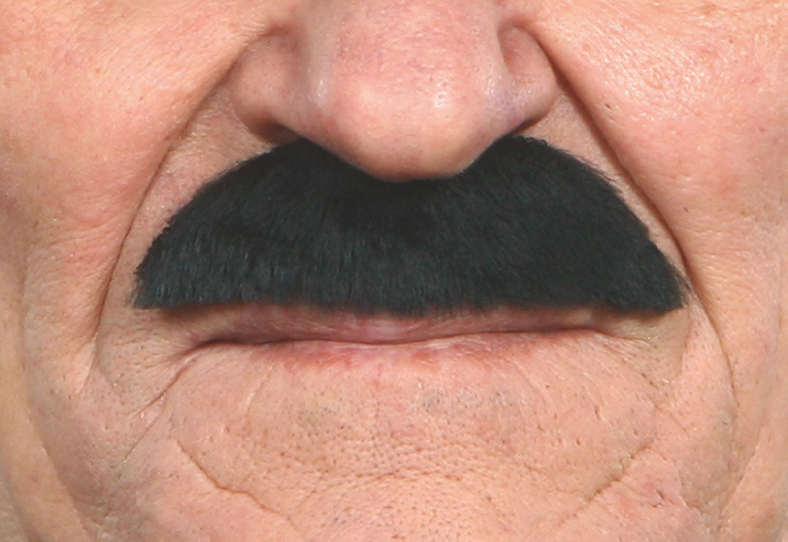 Bigote Negro Tupido Arreglado Barbas y Bigotes Viving