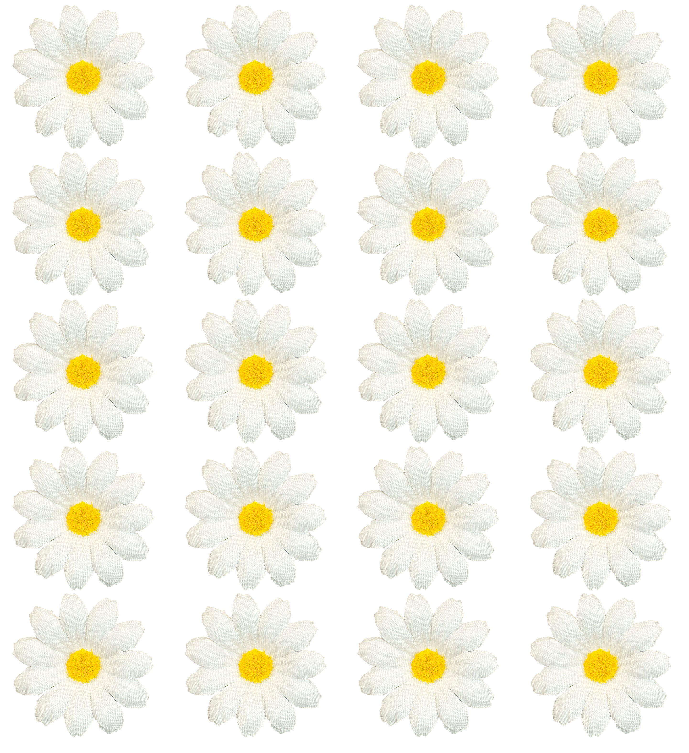 Set de 20 Margaritas para Decoración Flores Widmann