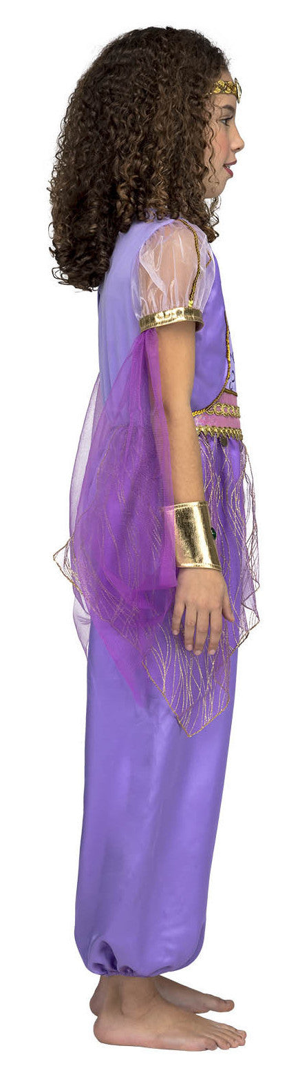 Disfraz de Shimmer Morado para Niña Shimmer y Shine Viving