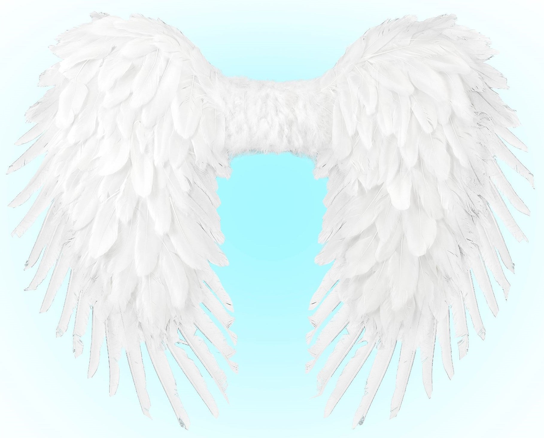 Alas Grandes de Ángel Celestial con Plumas Blancas Alas Widmann