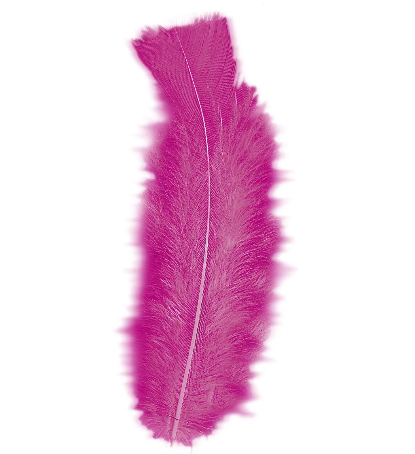 Pack de 50 Plumas de Colores COMPLEMENTOS Widmann Fucsia