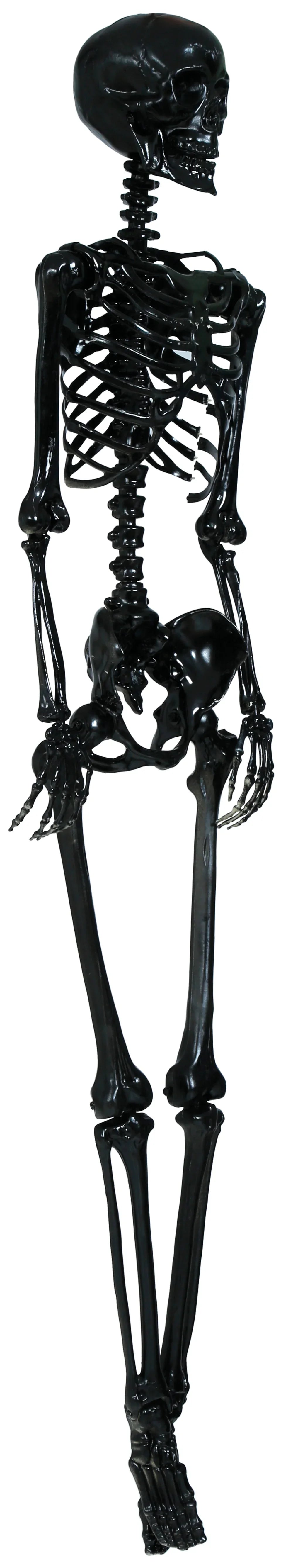 Esqueleto Negro para Decoración de 160cm Esqueletos Guirca