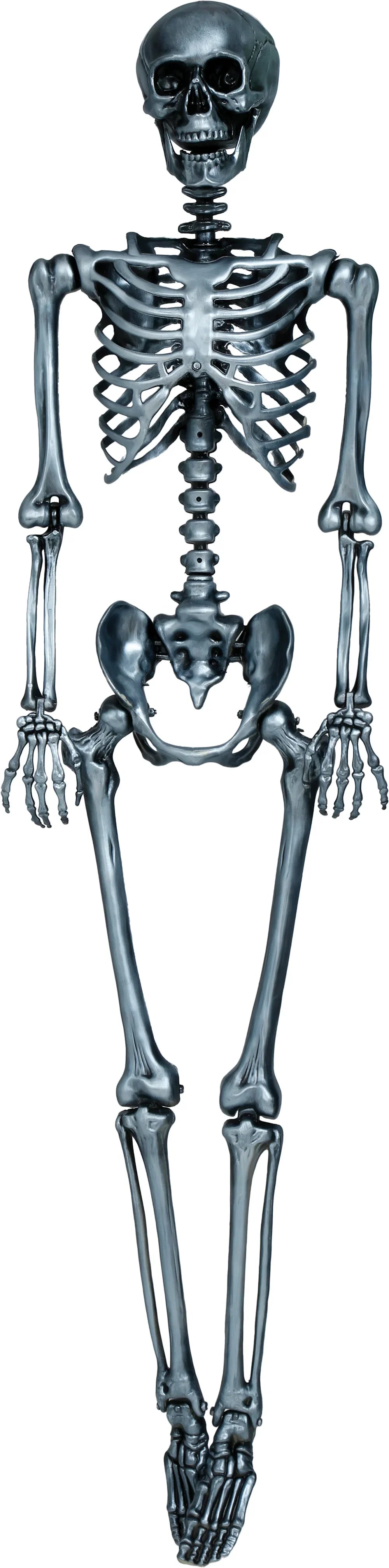 Esqueleto Plateado para Decoración de 160cm Esqueletos Guirca