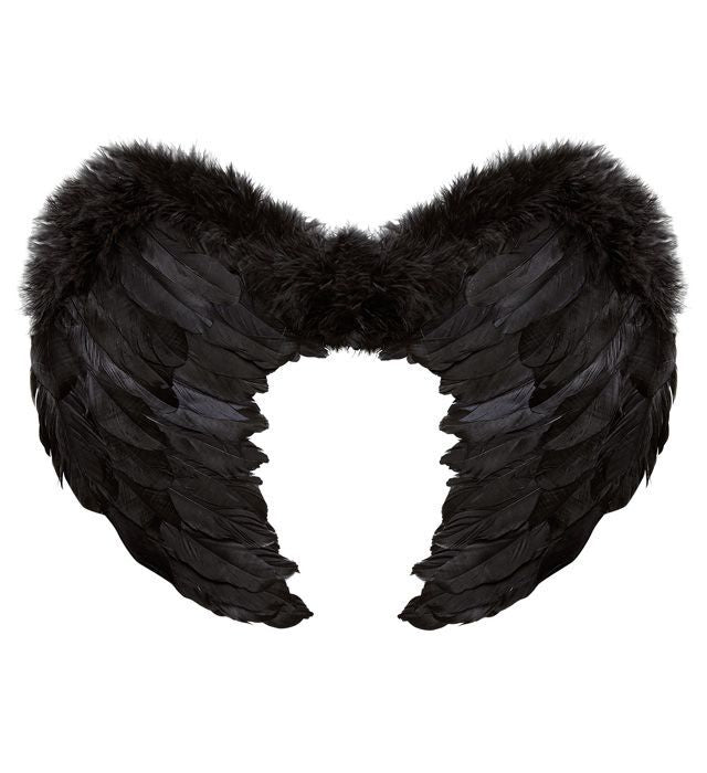 Alas de Plumas Negras Alas Widmann