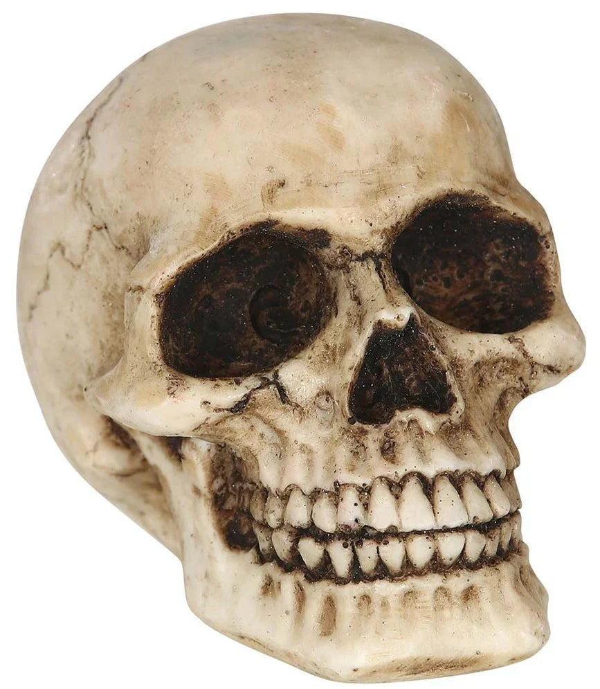 Calavera Realista de Resina de 8cm Calaveras Guirca