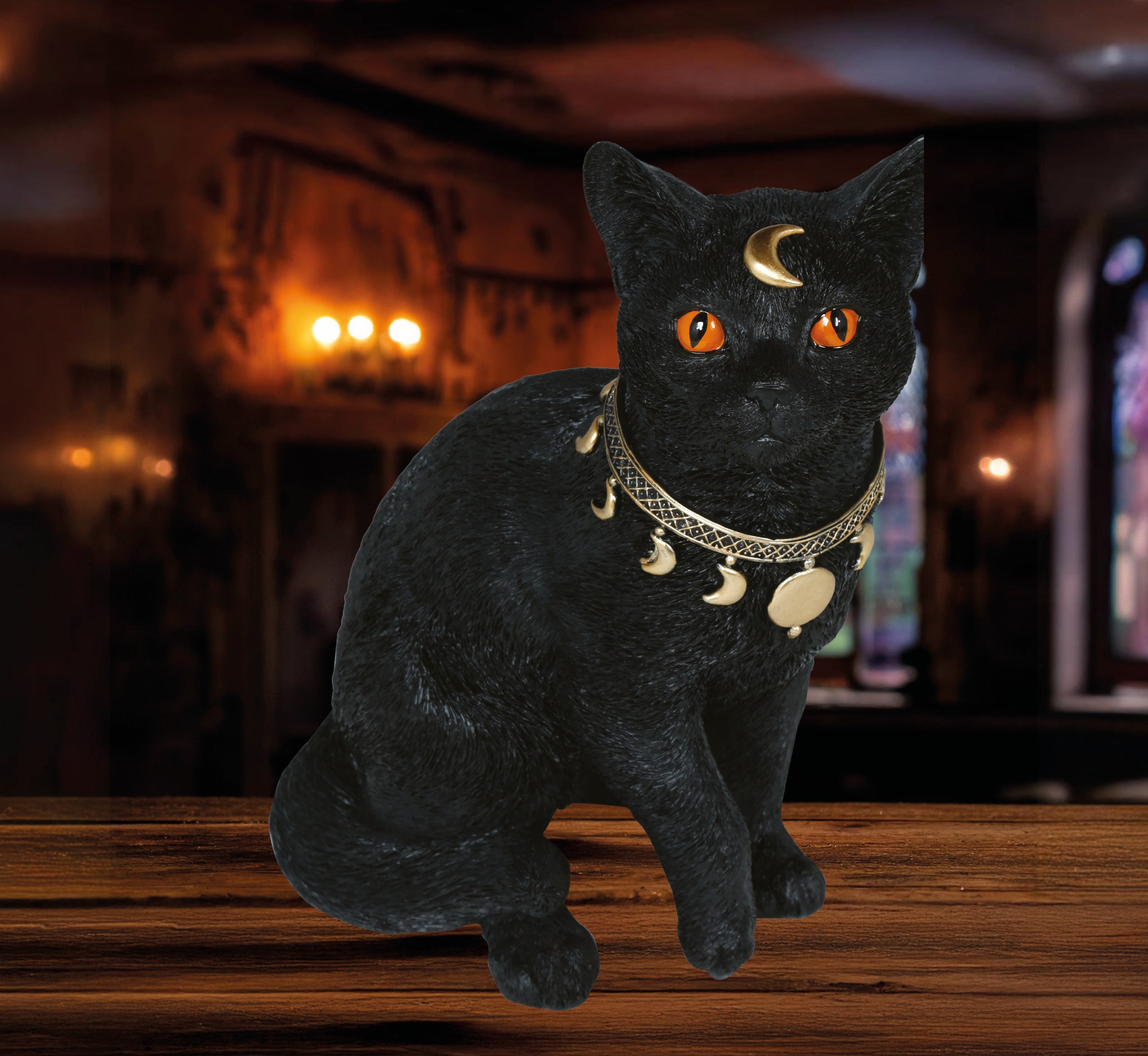 Gato Negro de Bruja para Decoración de Halloween