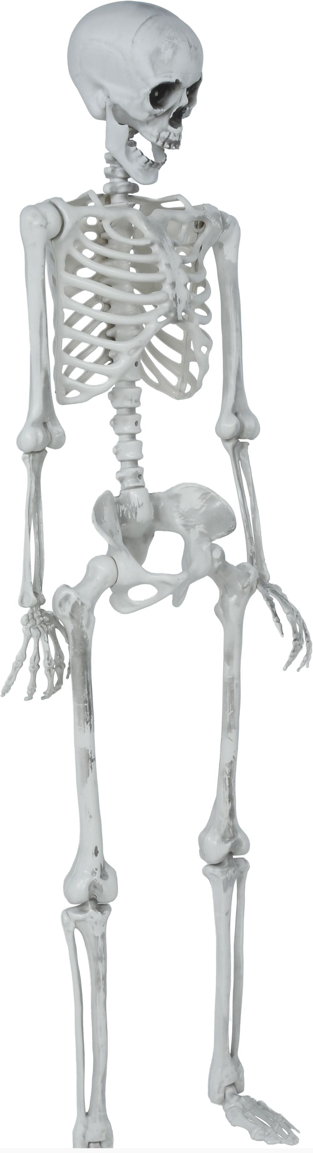 Esqueleto de Decoración Articulado de 145cm