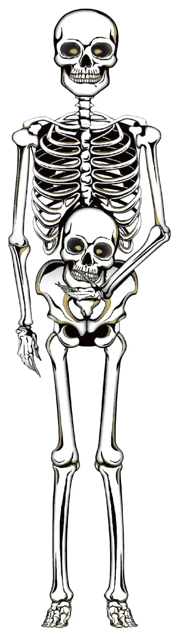 Esqueleto de Cartón para Pared Esqueletos Guirca