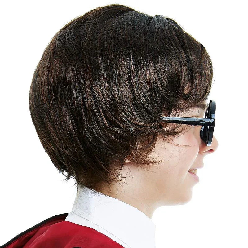 Peluca de Harry Potter Castaña para Niño Harry Potter Partilandia