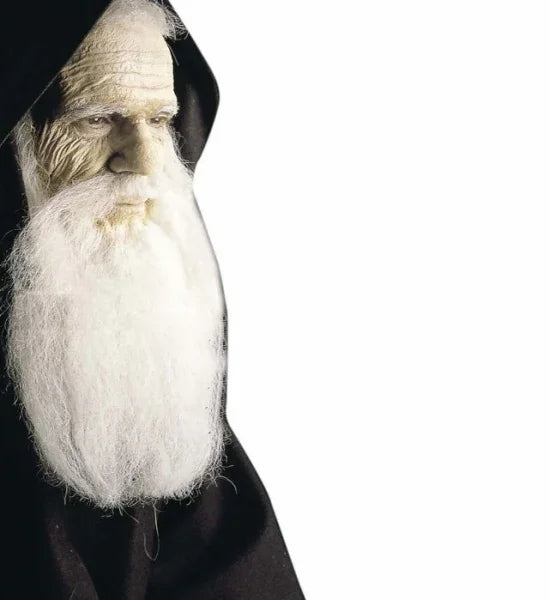 Gel de Carne Teatral COMPLEMENTOS Widmann