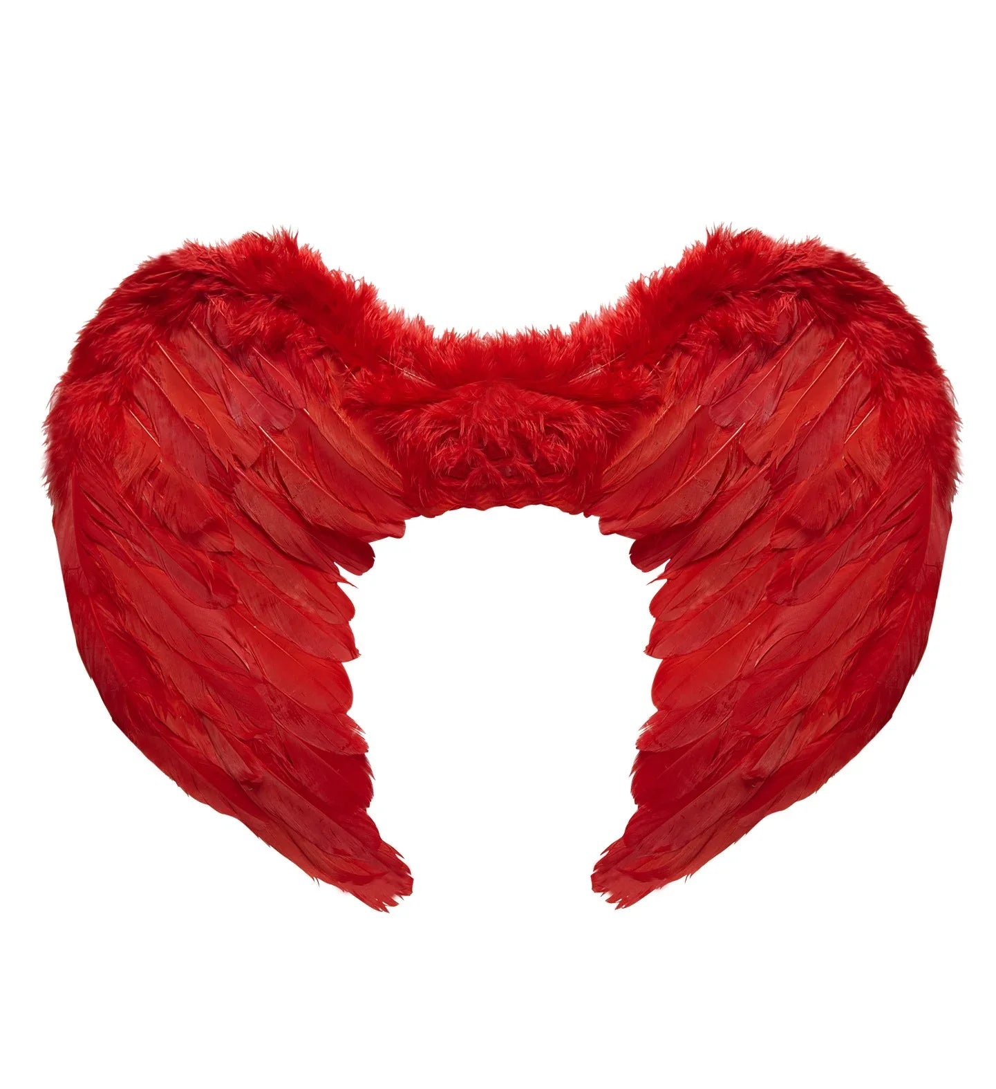 Alas de plumas rojas Alas Widmann