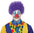 Pelucas de Payaso con Rizos en Colores