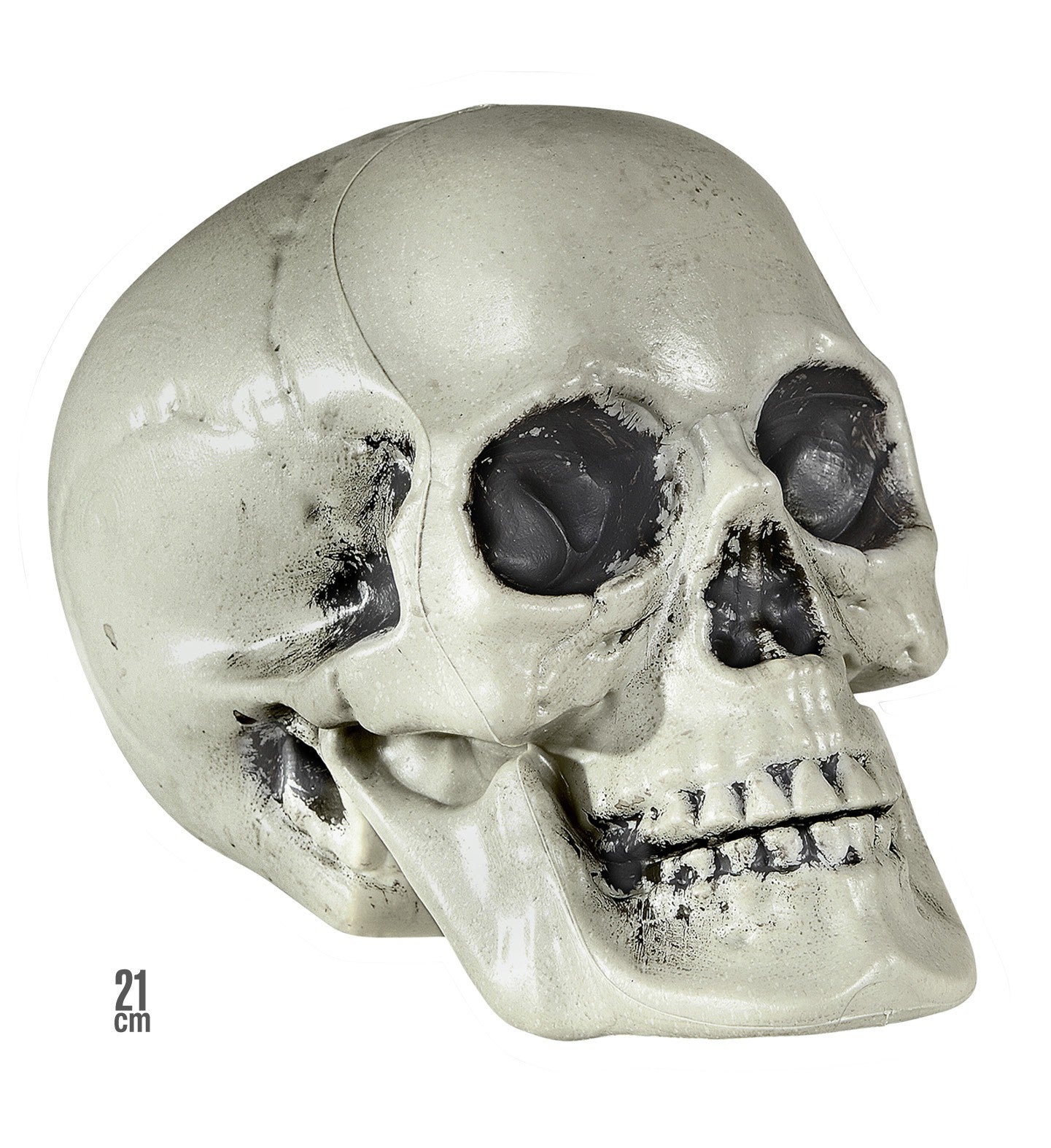 Calavera Decorativa Tamaño Real Halloween Widmann