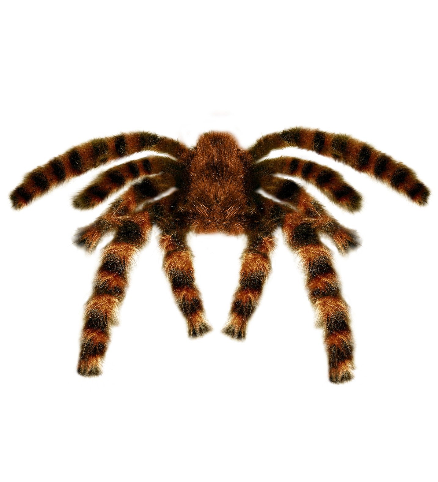 Tarántula Peluda Gigante Decoración Widmann