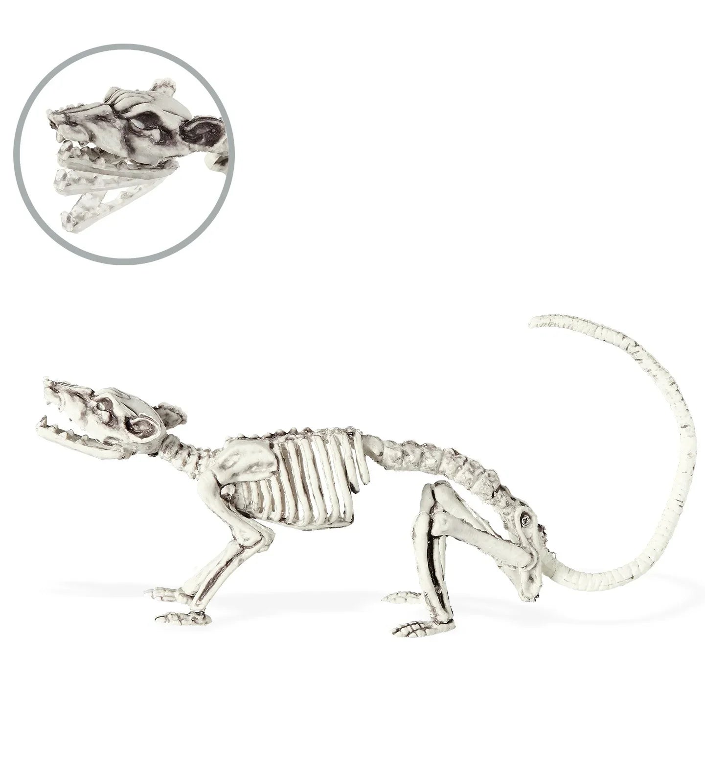 Esqueleto de Rata Decoración Halloween Widmann