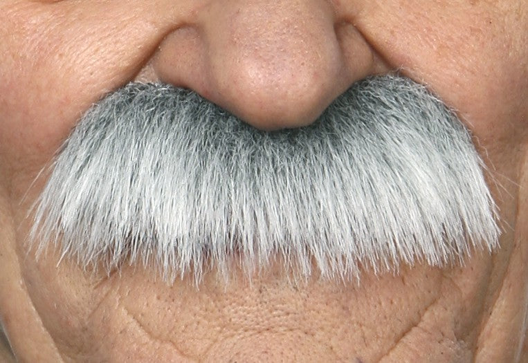 Bigote Canoso Barbas y Bigotes Viving
