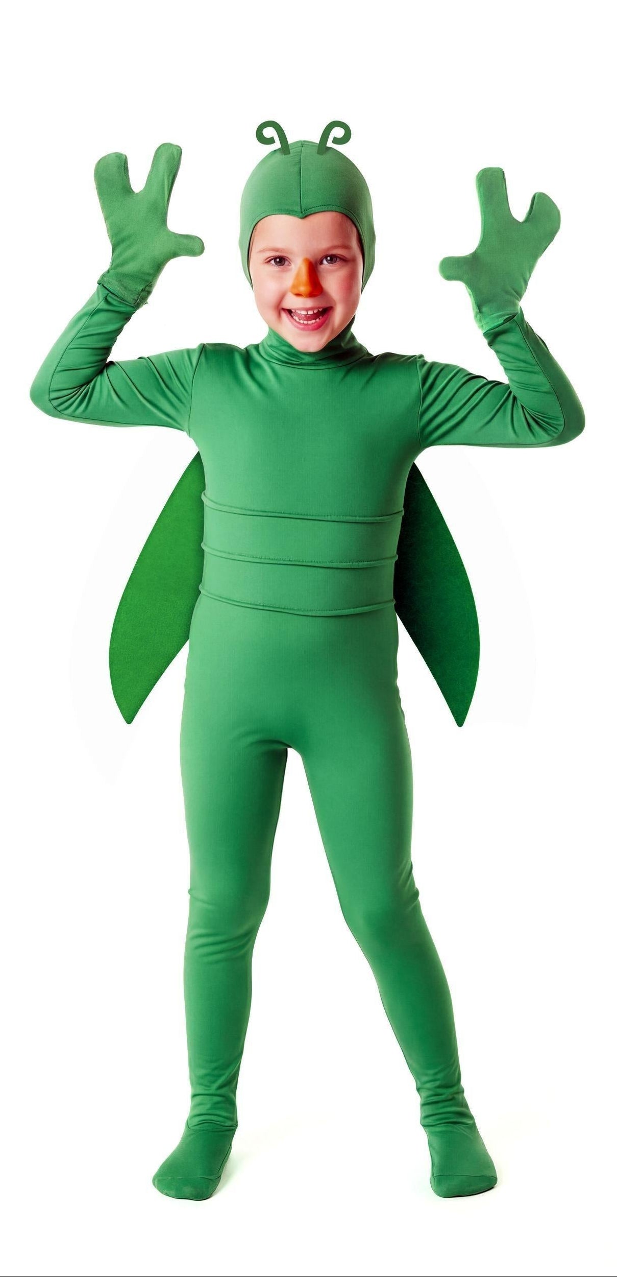 Disfraz Saltamontes Verde para Niño
