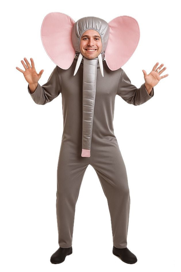 Disfraces Simon